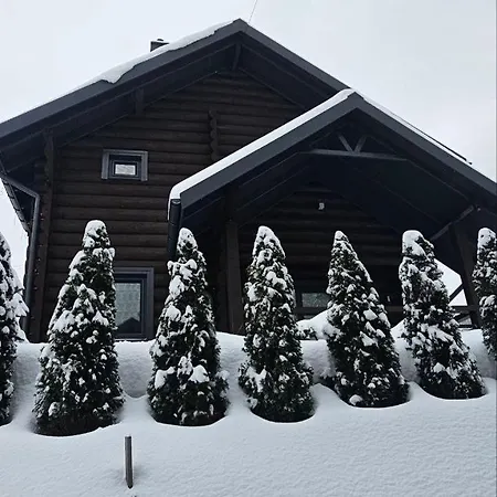 Minihouse * Козьова